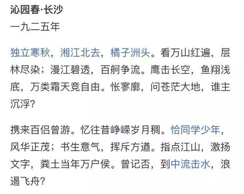 2. 从草根到巅峰：诗圣诞生