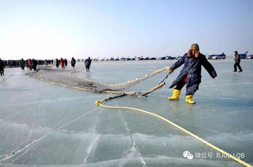 开场白：一场迷雾中的自驾狂想