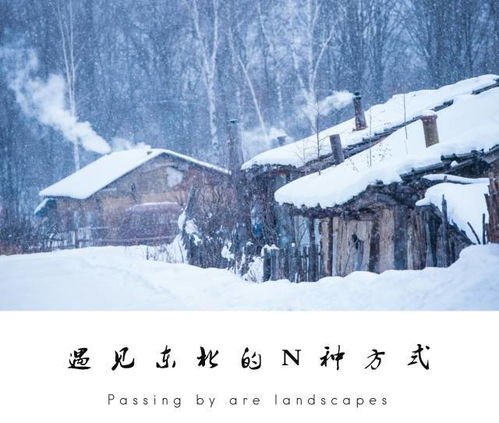 序章：雪落古镇， 谁在呼喊“免费”
