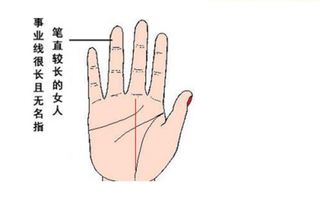 *噪音警报* —— 随机数字生成器：