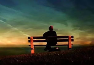 风水大师的惊天大发现