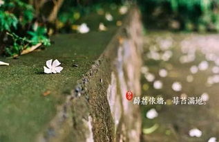 春分习俗揭秘：春分由来与特点，春意盎然！