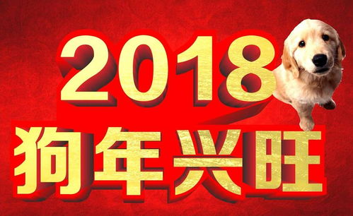 一、 猴子与事业——2018年的“猴”之光