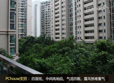风水大宅楼盘宣传,风水大宅楼盘宣传