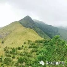 六、 情感与噪音的交织