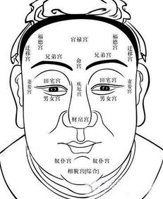 面相上渣男有哪些特征，最怕哪种面相？
