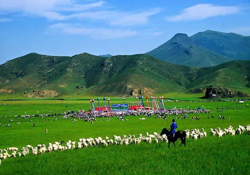 距离的“三重面目”：为什么你的导航和别人说的不一样？