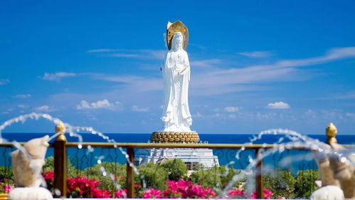 住宿血泪史：从五星级到睡大街