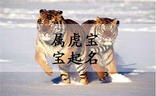 年姓的文化底蕴底蕴与取名启示