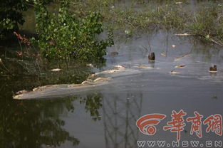 从风水堪舆看