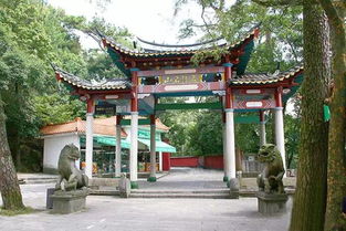 去鼓山的野路子现在全是坑