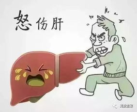 那些跑题的碎碎念...