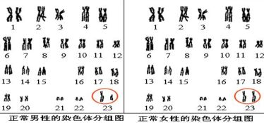 四、 情感较小插曲——我和「邱」字的不解之缘 😭😭😭