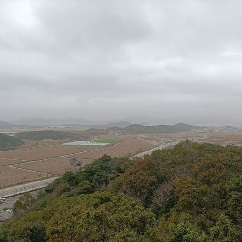 2. 行程安排