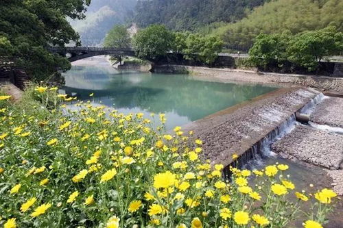 撒欢桐庐：富有春山居图的现实版