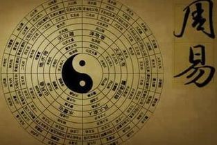 八字庚午己丑丁酉甲辰的人适合什么职业能富贵？
