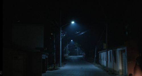 初遇：迷雾与孤影
