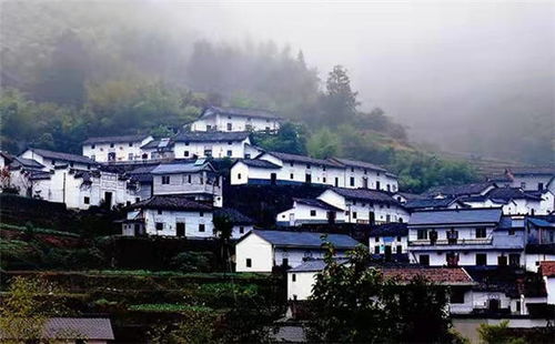 钱塘江源头: 国森林公园