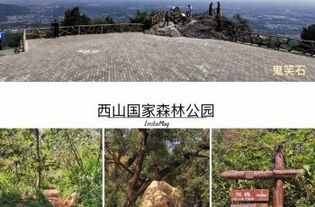 真实案例：张一一家的野餐垫惊魂记