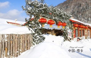第二章：抵达后怎么办？民宿、吃饭、玩耍……