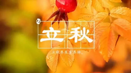 郑博士揭秘立秋习俗，传统节气魅力大揭秘！