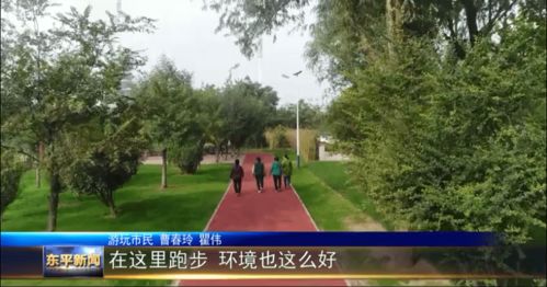 二、 随手抓来的“概述”