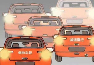 开车的人Zui怕什么,风水开车Zui怕遇到什么