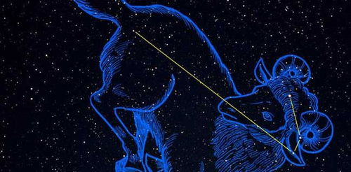 两个月亮白羊座的人在一起会怎样？星座配对分析？