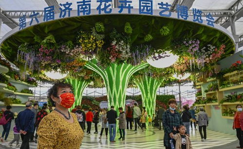 花博会+农博会=完美CP
