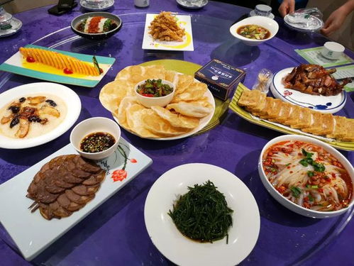 住宿篇：昆虫总动员