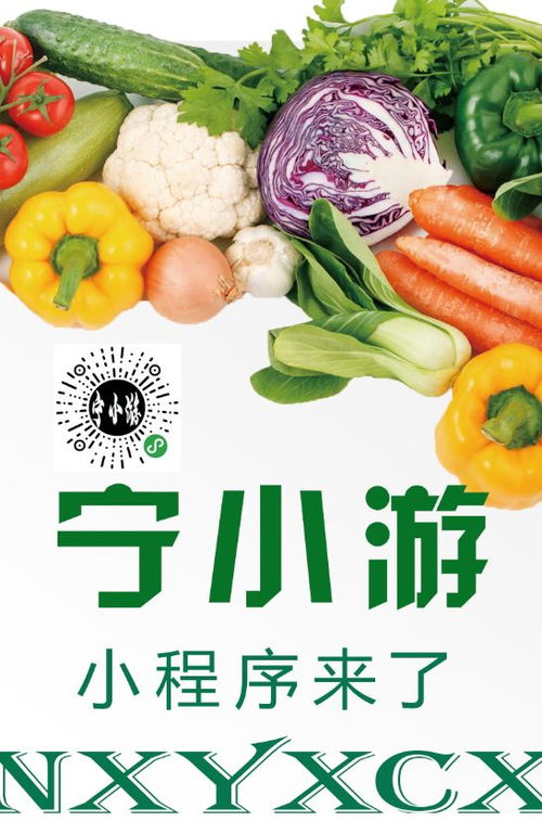 元氏美食图鉴：从玄学到化学