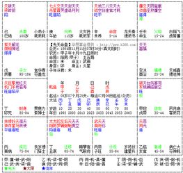 紫微八字排盘算命，水墨紫微在线免费排盘，能帮我改写为长尾关键词吗？
