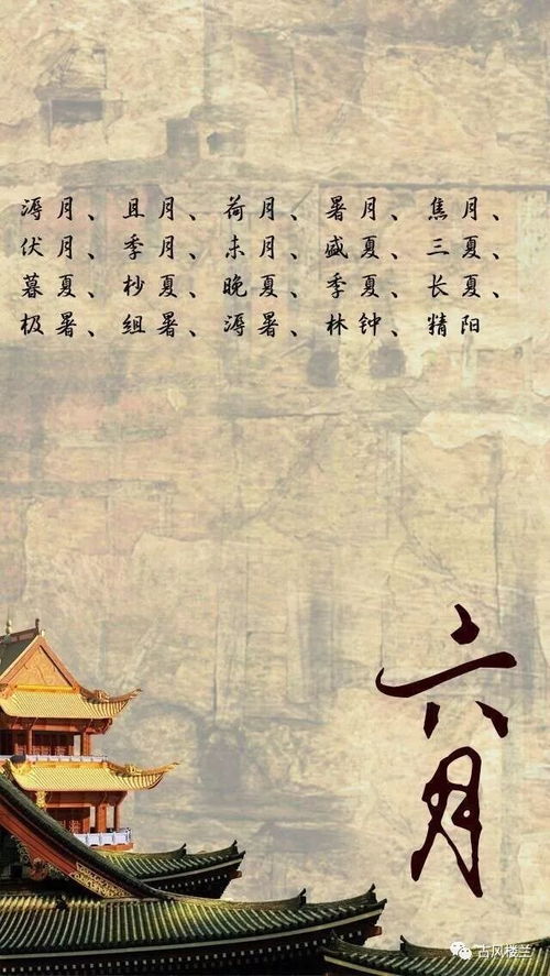 再来点儿情感炸弹——我的泪目经历：