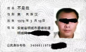 取名秘籍大公开