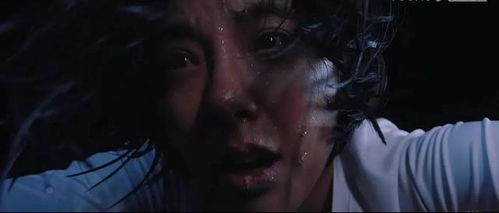 （以下为正文续接）