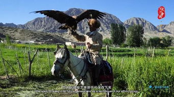 柯尔克孜族风情：草原游牧文化，民族特色浓郁