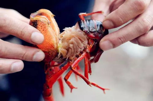 那东西深厚夜的偶然