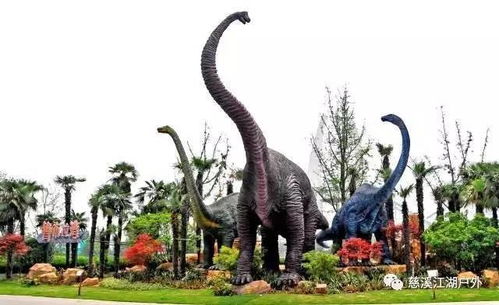 1. 惊叹于中华恐龙园