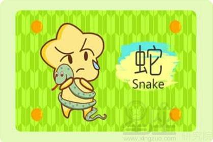 2026年冬天属蛇女性运势如何？