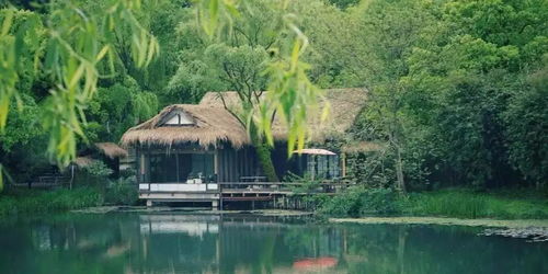 避暑胜地，夏日清凉的守护者