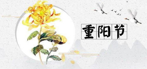 江南重阳节：古韵今风，传统与现代交融盛宴