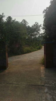 风水院墙大门朝西南,院墙大门开在西南