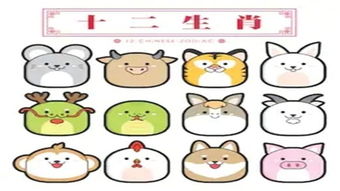 争先恐后的生肖数字与两三枝头飞红雨打一生肖或数字分别是什么？