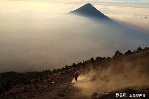 星座运势大乱炖：哪些星座去不得？