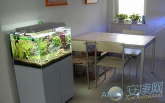 风水学中鱼缸要摆在哪里,风水学中鱼缸要摆在哪里