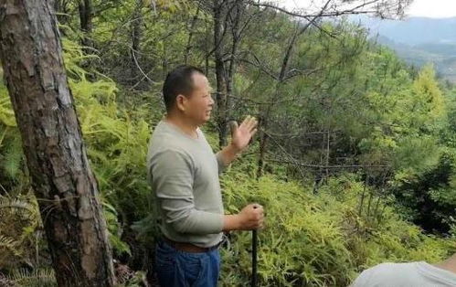韦昭尤是哪里人简介,韦昭尤是哪里人简介