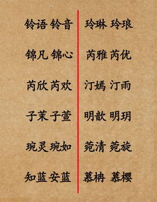 双胞胎名字中蕴含的美好寓意是什么？