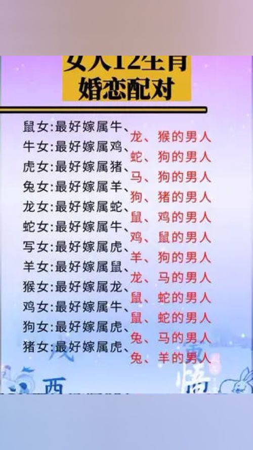 如何通过八字生肖配对找到最佳伴侣？