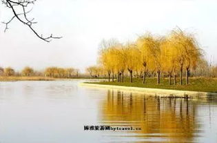 北湖景区的骚操作：免费就是个笑话