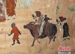 重阳节：古今交融，登高赏菊，养生爆款！